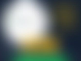 P3C - PPPs E CONCESSÕES