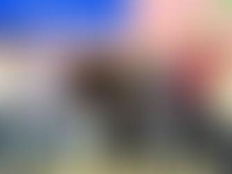 O Bandes e o IPGC, como os responsáveis pela estruturação, coordenação e operacionalização do projeto.