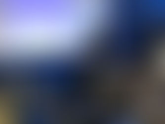 LEILÃO DO CONSÓRCIO DO ALTO SERTÃO TEM DESÁGIO DE 25%