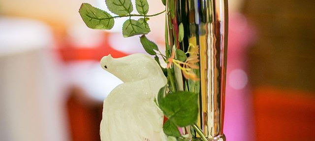 Northern Ireland Wedding Florist in Kircubbin Aurellas Flowers Ltd.
