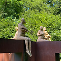IMG_1186.JPG