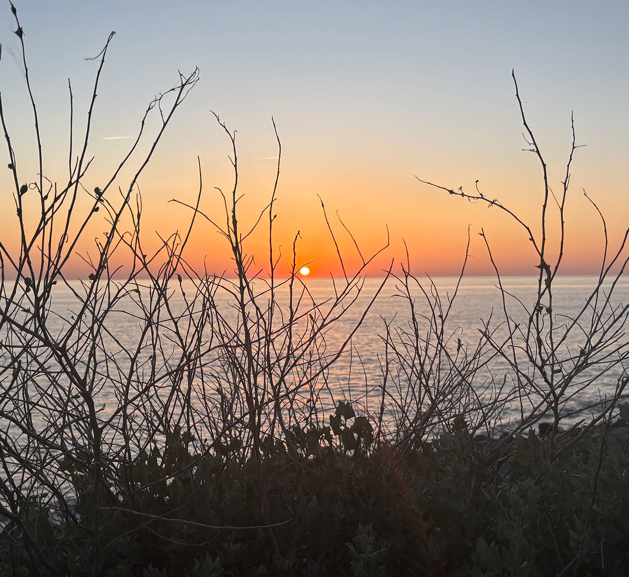 IMG_5838.jpg