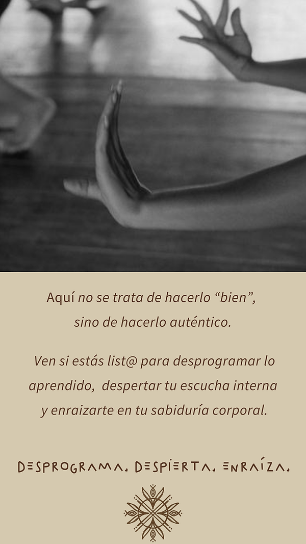 cuerpo raiz.zip - 16.PNG