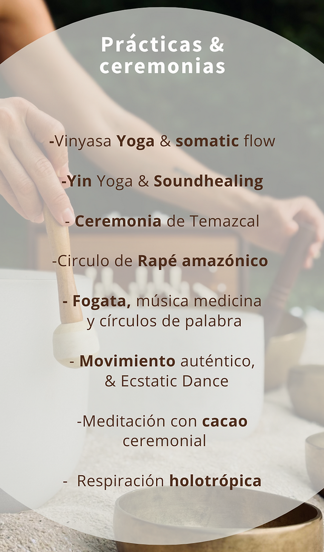 cuerpo raiz (Post para Instagram (45)).zip - 7.PNG