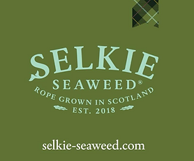 Selkie Seaweed
