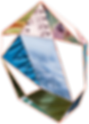 mere-logo.png
