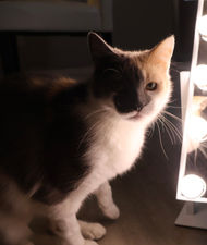 12. Side Light 