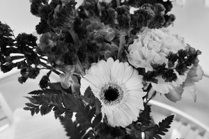 11. B&W