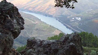 MANIFESTO: Uma epidemia abala o mundo - mas os rios ainda correm para o mar (e agora levam máscaras)