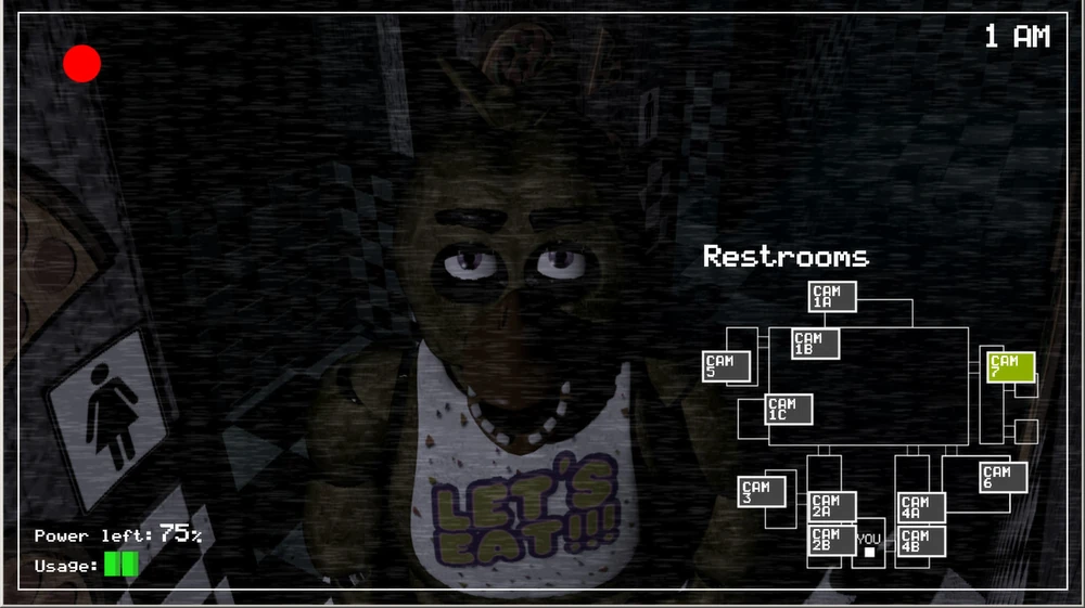 Chica looking into the camera