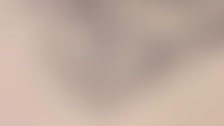 diegno del lupo di abissinia ou del lupo etiope 