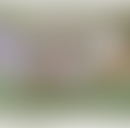 Residents bounce ideas for Jackie Renninger Park