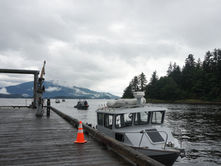 Salmon derby finale brings in last-minute flurry of activity