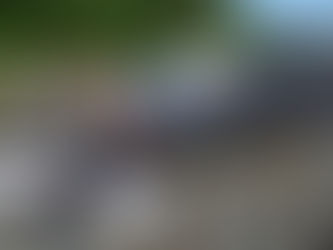 Cause of death for humpback whale calf found dead in Gastineau Channel this summer inconclusive