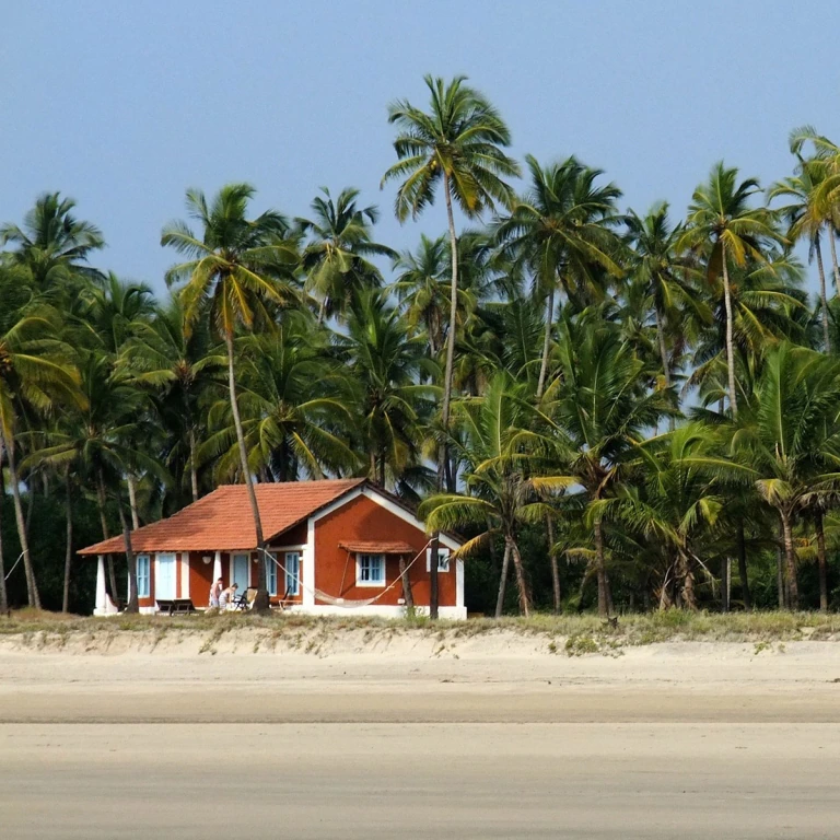 Pixabay_goa-1130056_1920-1200x768.jpg.webp