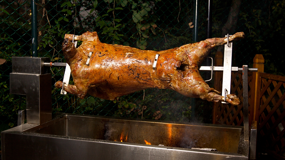 HHX03#Catering Services, Private Chefs & Spitbraais.png