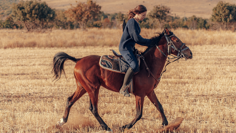 HHU10.8#Horse Riding.png