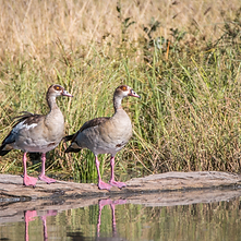 Men on Beach_edited.jpg