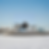 Untitled design-12.png