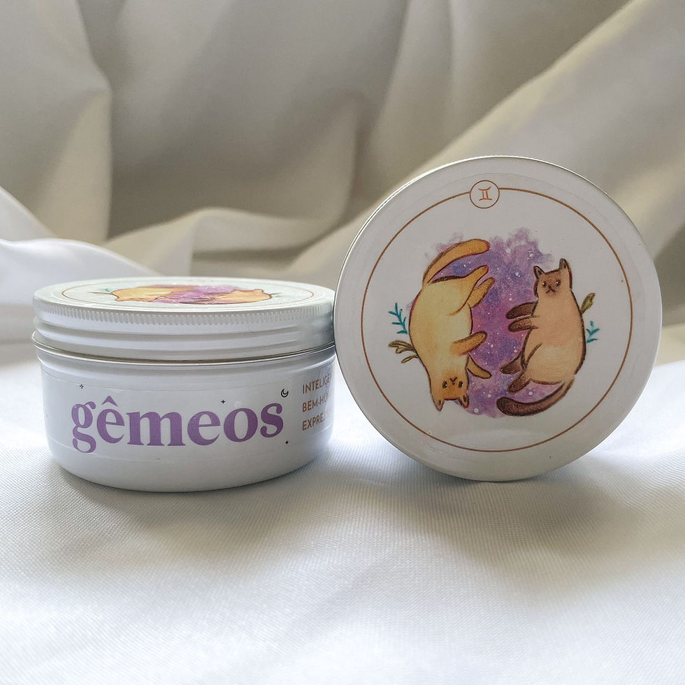 Miniatura: Vela Gêmeos