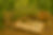 813D5076-5401-4A40-857E-03EE80C3BEE1.png