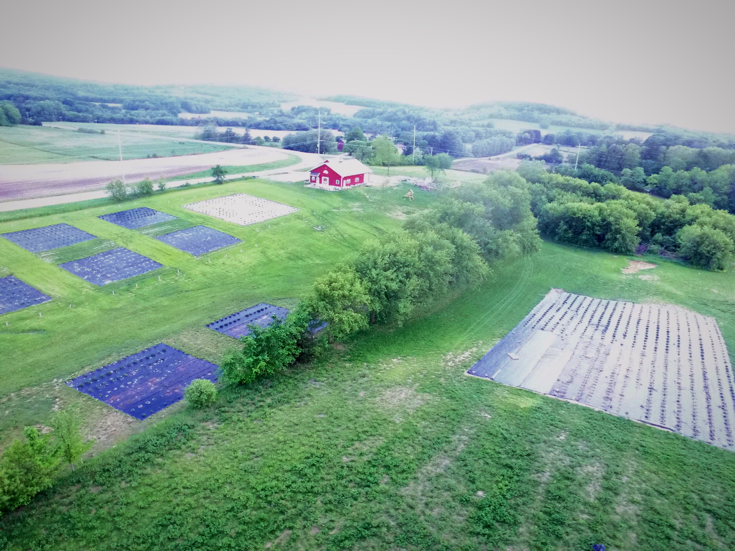 Farm To Table Tours Baraboo New Life Lavender Cherry Farm