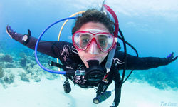 A Scuba Diver on the Davis Bay Wall