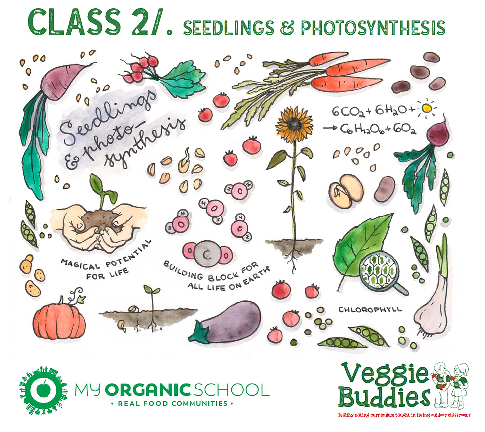 Thumbnail: Veggie Buddies Professional Development Course.