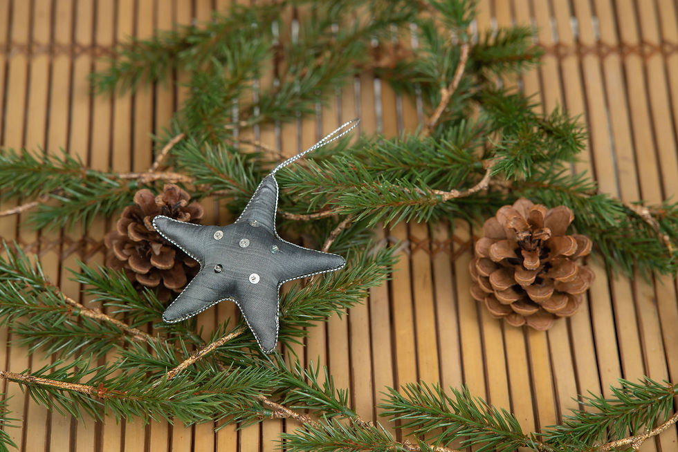 Thumbnail: Silk Ornament 'Star' - small