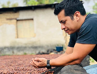Beneficio húmedo del café - Finca Hamburgo