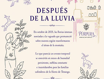 Beneficio húmedo del café - Finca Hamburgo
