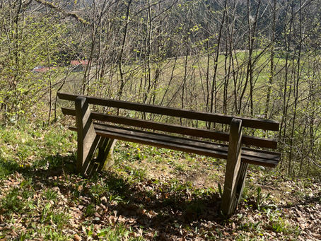 Holzbank am Waldrand mit Blick ins Tal als Symbol für Reflexion, persönliche Entwicklung und einen neuen Blick auf den eigenen Lebensweg.