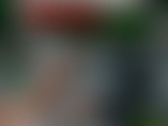 Os Primeiros Sistemas de Compartilhamento de Bicicletas