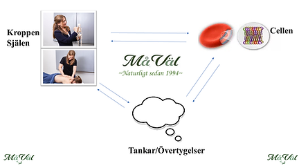 MåVäl 20230818.png