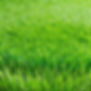 clean artificial turf.jpg