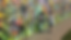 Puritas_Mural.png