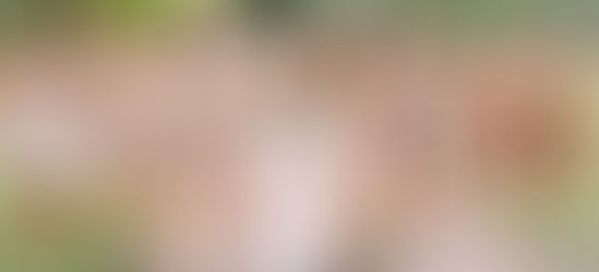 ¿Cuántas damas de honor puedes tener en tu boda?