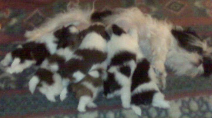 IMG00174_edited.jpg