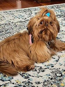 SadieMae.6mo.jpg
