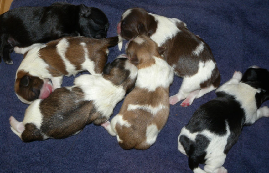 08.11_edited.jpg