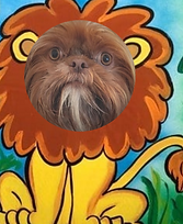 lion.png