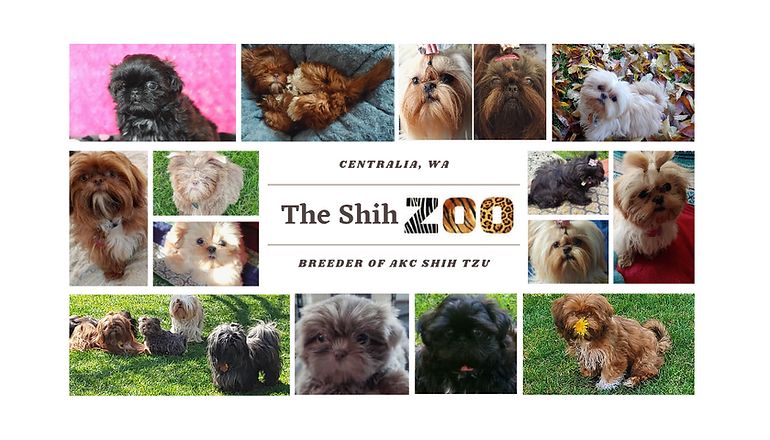 The Shih Zoo business card