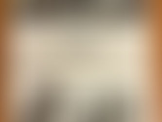 Special 4A Board of Zoning Virtual Meeting, Feb 15 at 7 pm - proposed development of 6108 13th Street will be discussed. Please join us.