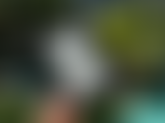 Hunger: A Memoir of My Body by Roxane Gay