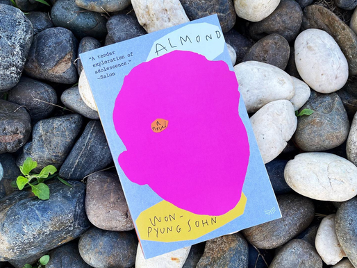 Almond by Won-Pyung Sohn