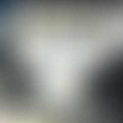 Quantum Marketing: Mastering the New Marketing Mindset for Tomorrow's Consumers by Raja Rajamannar