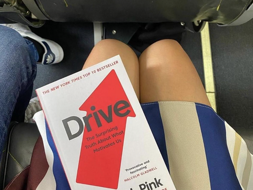 Drive: The Surprising Truth About What Motivates Us by Daniel H. Pink