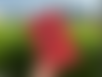 The Antidote Happiness for People Who Can't Stand Positive Thinking by Oliver Burkeman