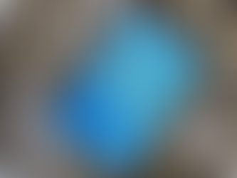 An Economist Walks Into a Brothel by Allison Schrager