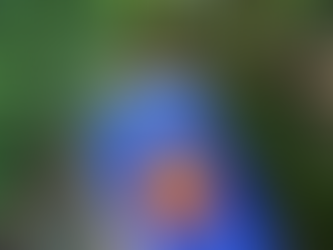 Dollars and Sense: How We Misthink Money and How to Spend Smarter by Dan Ariely and Jeff Kreisler